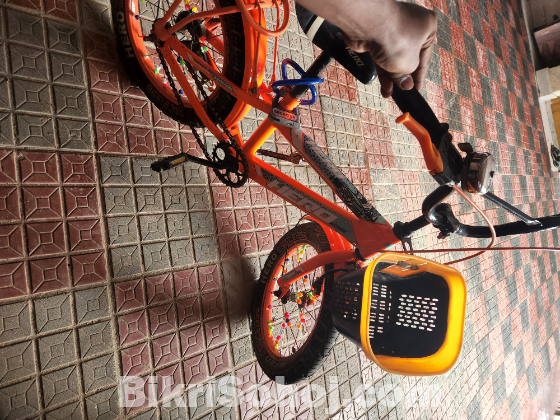 Bicycle